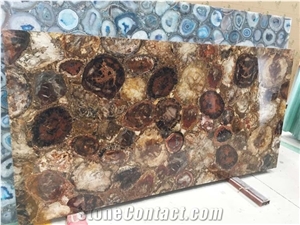 China Fossil Stone Petrified Wood Semiprecious Stone Slabs