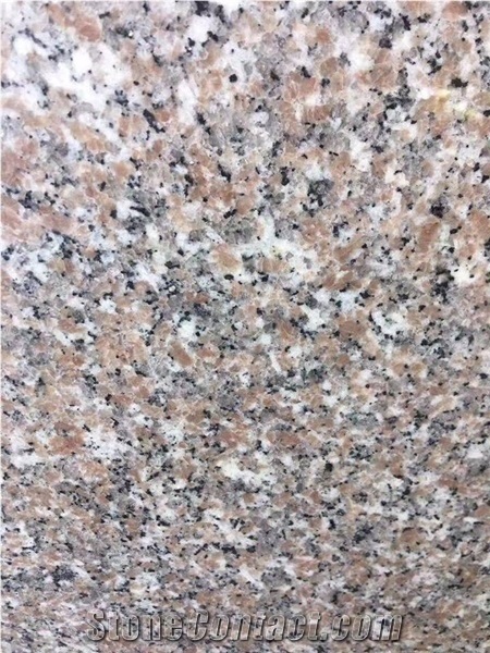 Vietnam G664 Granite- Gl Pink Granite