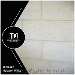 Jamaeen Matabeh White Limestone Wall Tiles