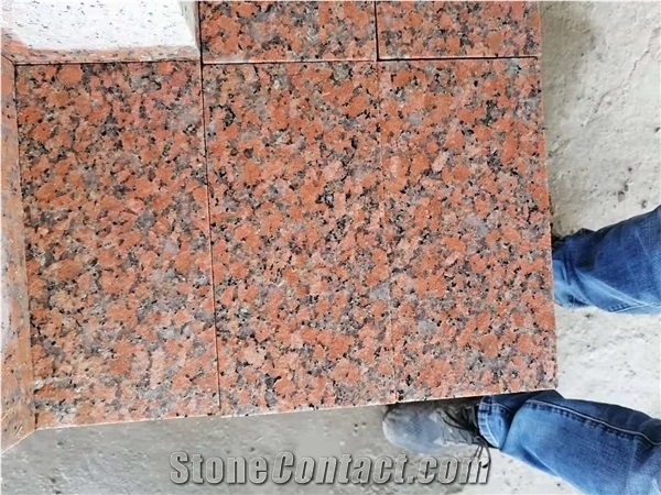 Project Supplier G562 Charme Maple Red Granite Tiles