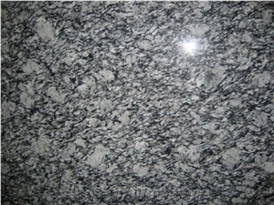 Sea Wave Spray White Granite