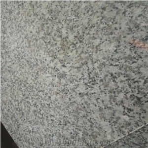 Swan White Granite Tiles Slab for Countertop Walling