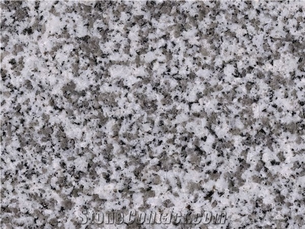 Bianco Reale Granite Slabs & Tiles
