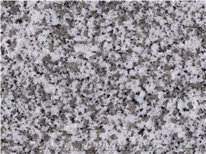 Bianco Reale Granite Slabs & Tiles