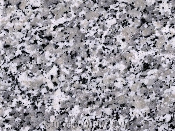 Bianco Sardo Granite Slabs & Tiles