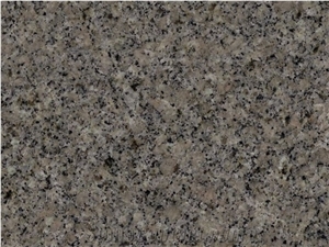 Bohus Grey Granite Slabs & Tiles