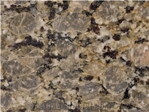 Butterfly Gold Granite Slabs & Tiles