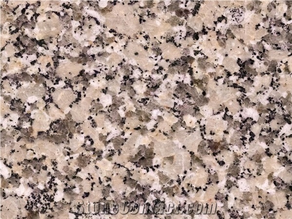 Crema Julia Granite Slabs & Tiles