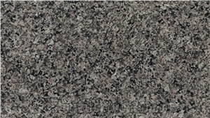 Desert Brown Granite Tiles & Slabs