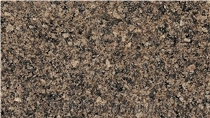 Desert Gold Granite Tiles & Slabs