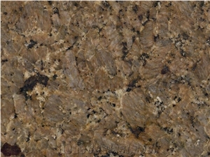 Giallo Guidoni Granite Slabs & Tiles