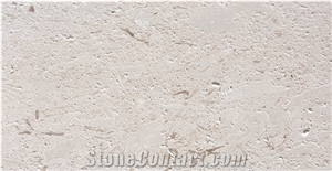 Shell Stone Limestone Slabs & Cut to Size