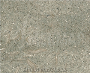 Seagrass Limestone Tiles