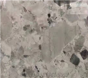 China Fossil Ash Grey Marble Polished Tiles & Slabs