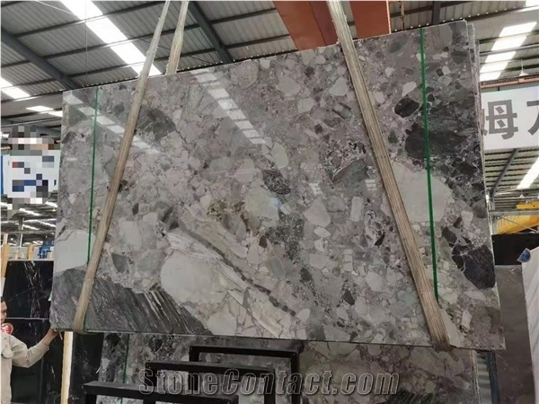 China Fossil Ash Grey Marble Polished Tiles & Slabs