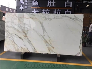 Italy Fish Stomach Gold Marble Polished Slabs