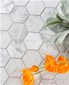 Biano Carrara Marble Mosaic Tiles