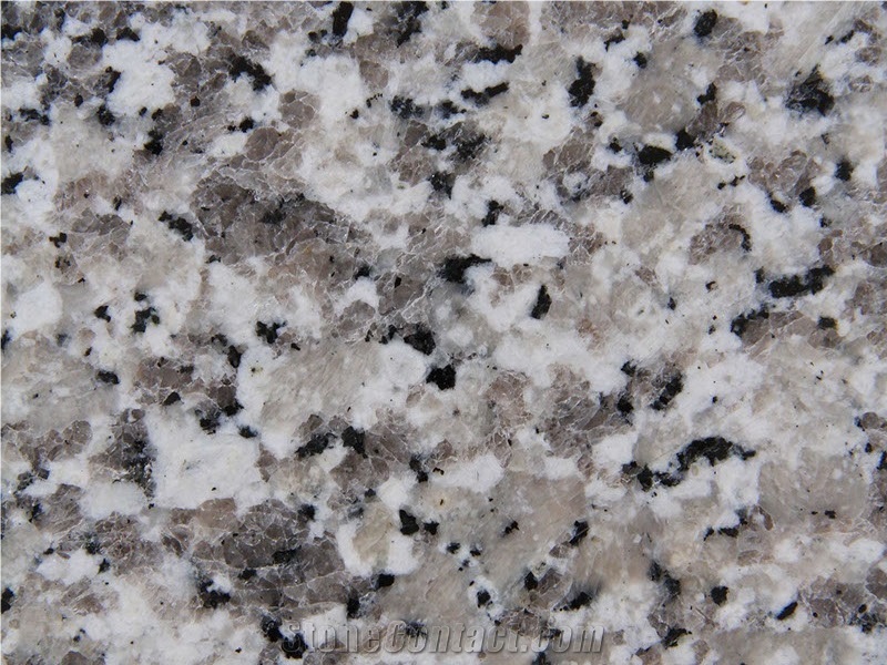 Granito Grigio Perla Granite, Bianco Sardo Lucido Granite Tiles & Slabs