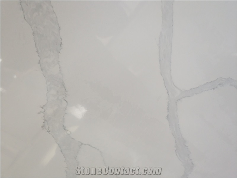 Calacatta White Quartz with Pure White Background