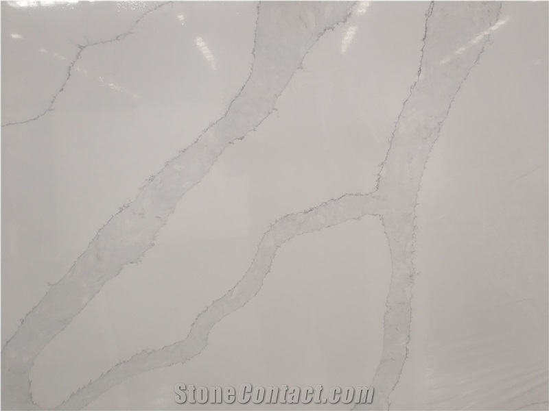 Calacatta White Quartz with Pure White Background
