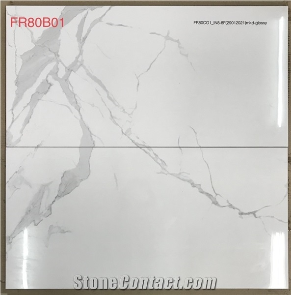 Fr80b01 - Glossy Porcelain 80x80