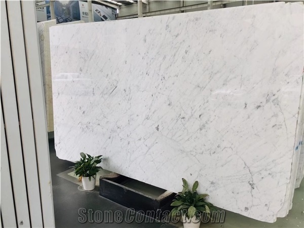 White Marble Calacatta Carrara Marble Slabs Tiles