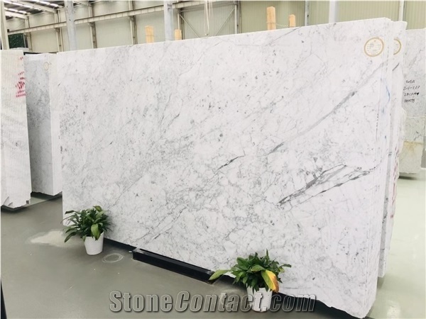 White Marble Calacatta Carrara Marble Slabs Tiles Vanities