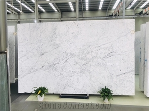 White Marble Calacatta Carrara Stone Polished Stone Slabs