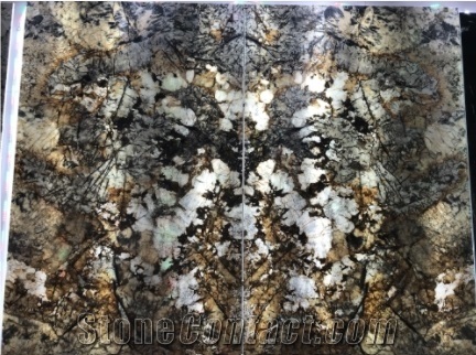 Backlight Butterfly Love Flower Granite Background Decor
