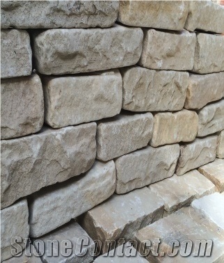 Mint Fossils Sandstone Paving Tiles, Cobbles, Fossil Mint Sandstone Pavers