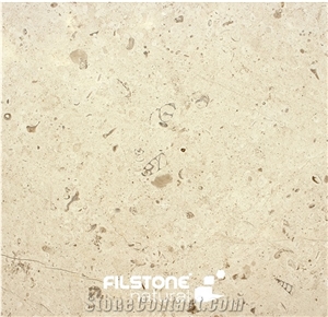 Filstone Beije Ml Fossil Limestone