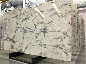High Quality White Marble Arabescato Slabs,Tiles