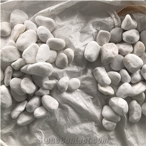Best Price for Snow White Pebble Stone from Vietnam