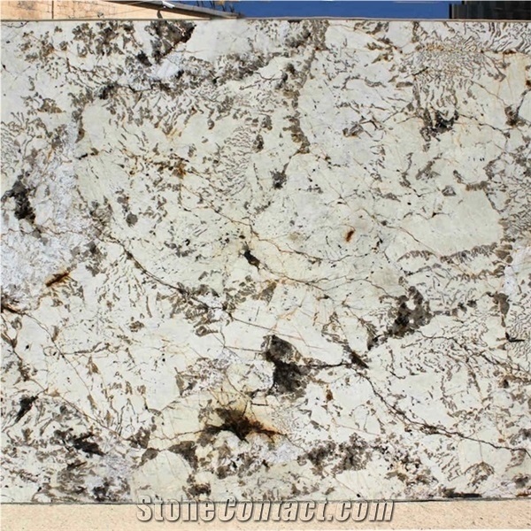 Brazilian Granite Blanc Du Blanc Granite Slab and Tile Floor