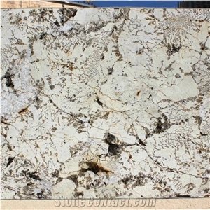 Brazilian Granite Blanc Du Blanc Granite Slab and Tile Floor