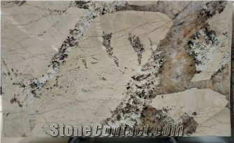 Luxury Stone Pandora White Marble with Beautiful Grains