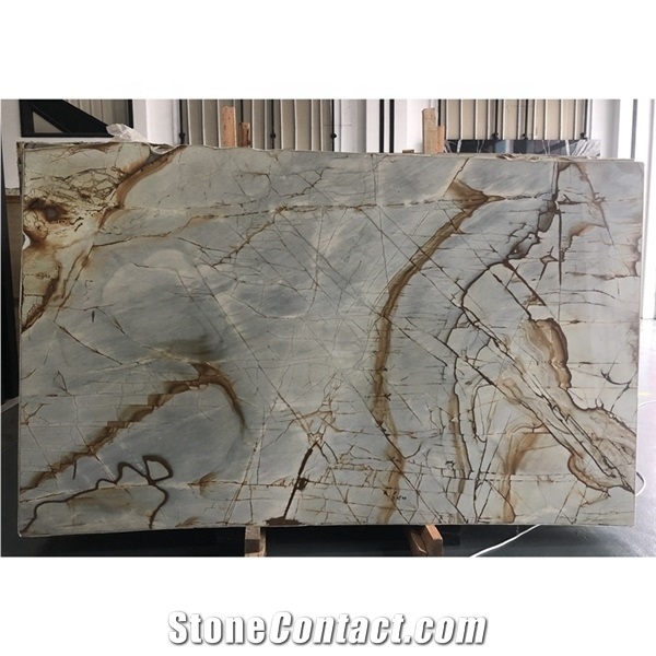 Roma Impression Marble Slabs for Feature Wall Decoration