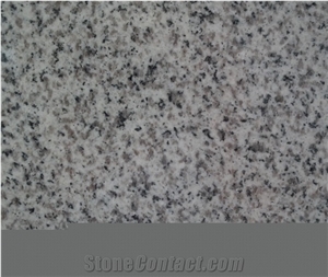 New G603(Hb) Granite Tiles