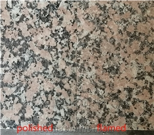 Pink Porino Granite Tiles