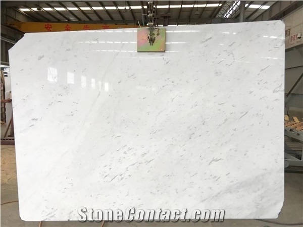 Danae Ariston Marble for Wall Tiles