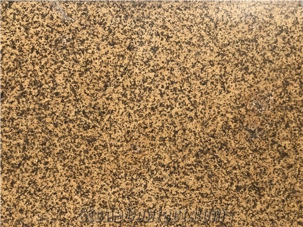 Bd Dark Yellow Granite - Vietnam Granite Stone