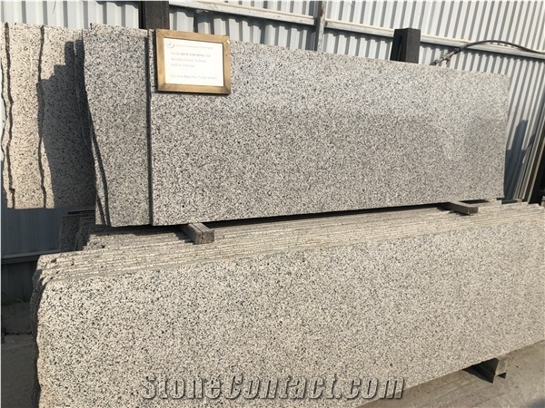 Bronze Cream Granite Stone/Vietnam Granite