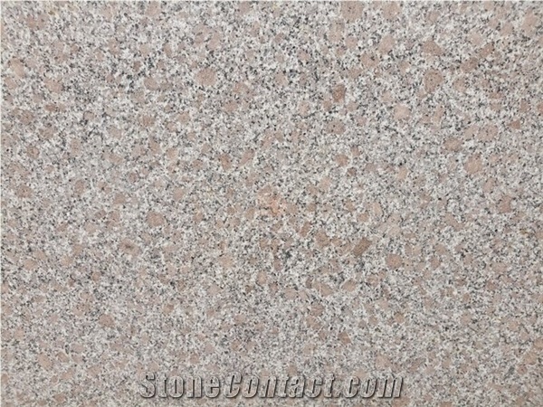 Pc Violet Granite/Vietnam Granite Stone