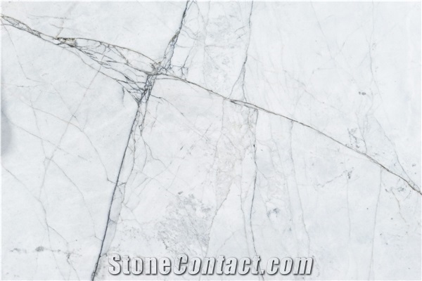 Bianco Carrara Gioia Marble Slab