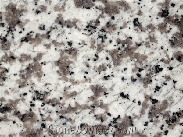 Good Price For Big White Flower Granite G439 Polished Slabs
