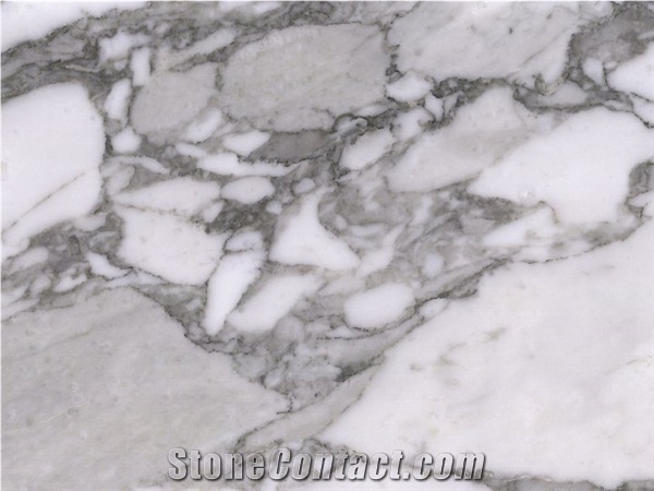 Arabescato Cervaiole Marble Slabs & Tiles
