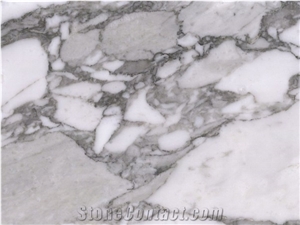 Arabescato Cervaiole Marble Slabs & Tiles