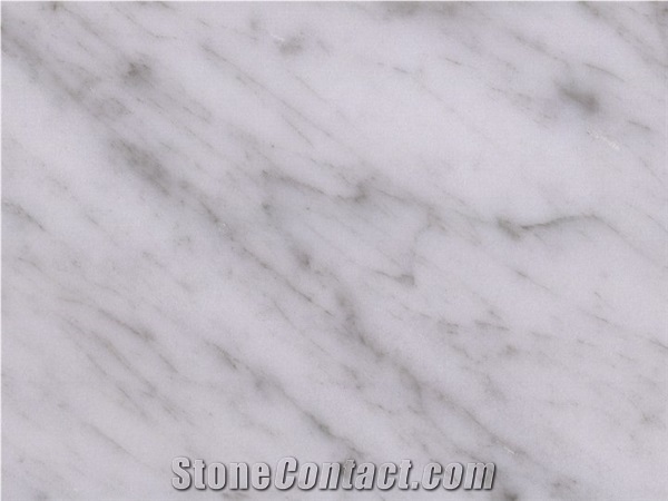 Bianco Carrara Venatino Marble Slabs & Tiles