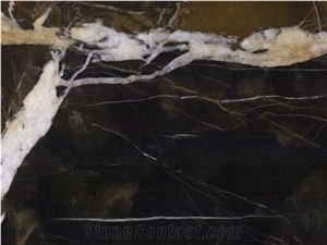 Black and Gold Marble Slabs & Tiles
