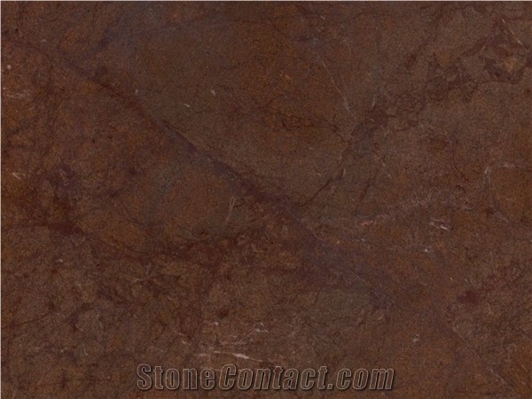 Chocolate Brown Quartzite Slabs & Tiles